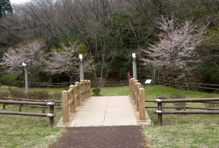 公園の堰にかけられた橋